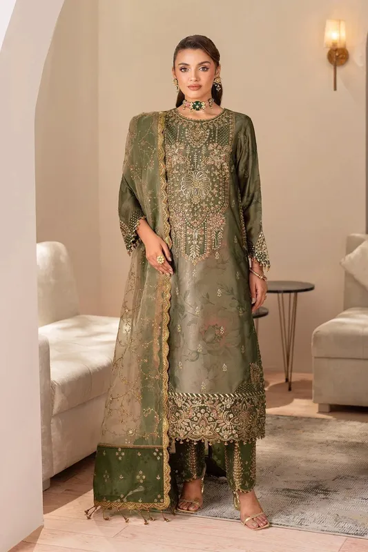 Alizeh Formals 26 Dull Brown Organza – view 1 – Poshaq
