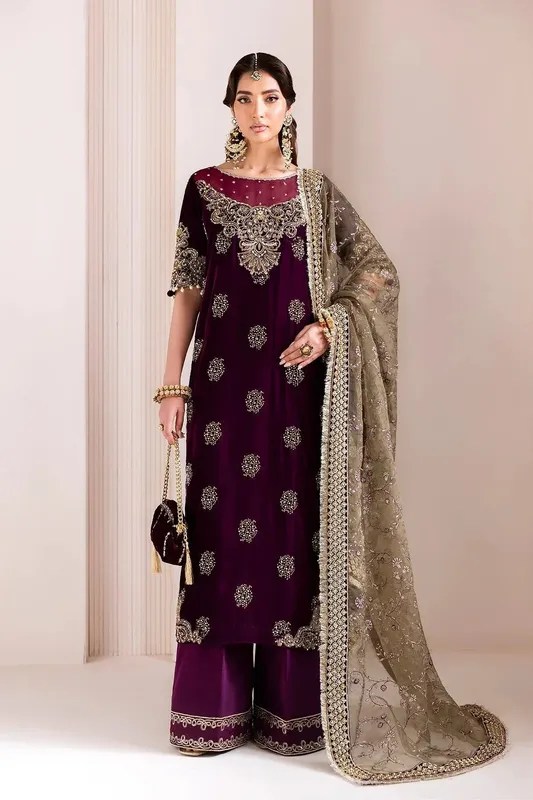 Alizeh Makhmal Luxury Velvet Edit Mulberry Wood Organza – view 1 – Poshaq