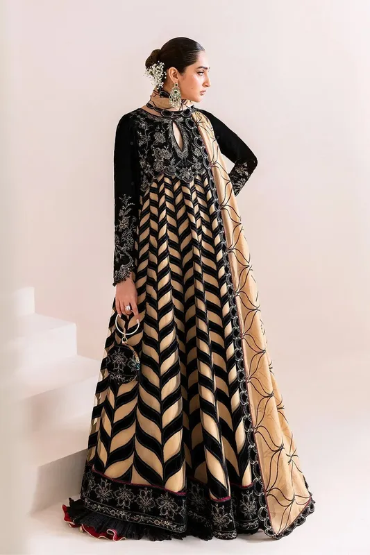 Alizeh Makhmal Luxury Velvet Edit Black Organza – view 1 – Poshaq