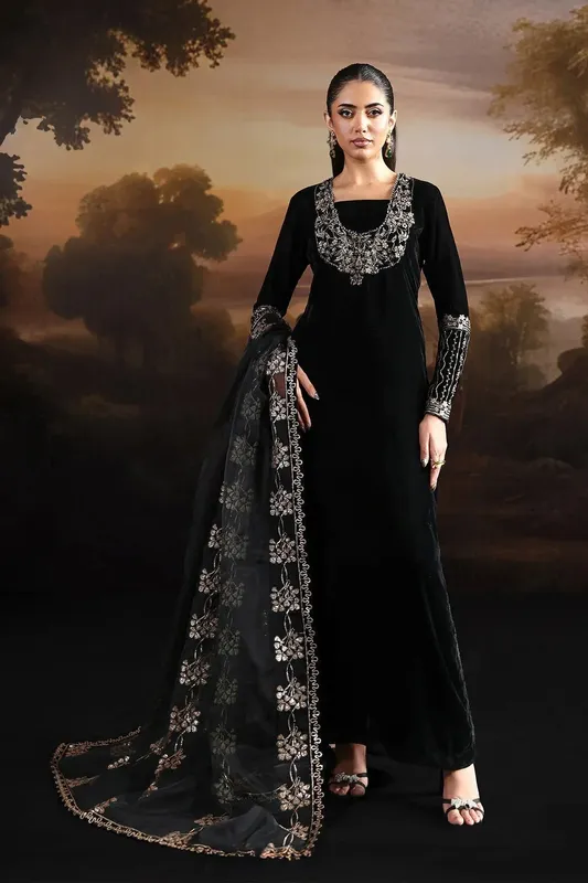 Alizeh Lamour 25 Black Organza – view 1 – Poshaq
