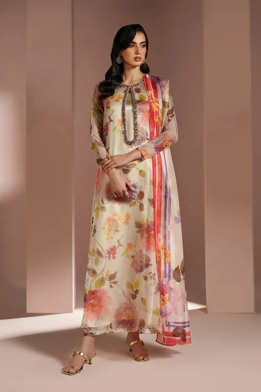 Alizeh Ready to Wear Light Skin Organza – view 1 – Poshaq