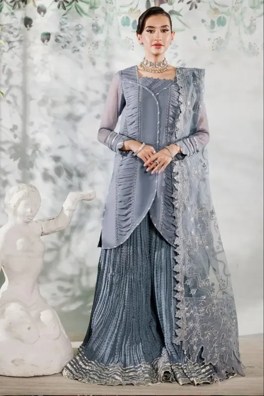 Alizeh Ready to wear Grey Organza – view 1 – Poshaq