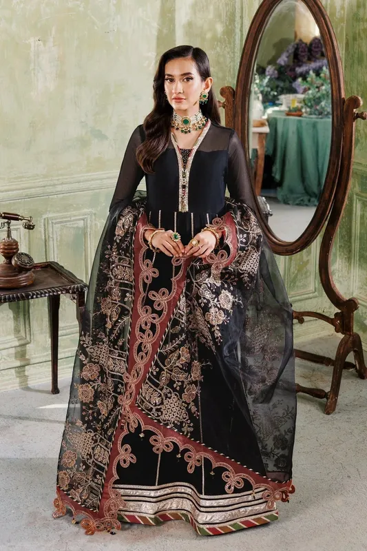 Alizeh Ready to wear Black Organza – view 1 – Poshaq