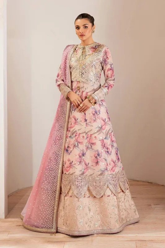 Alizeh Fleur Chiffon powder pink Organza – view 1 – Poshaq