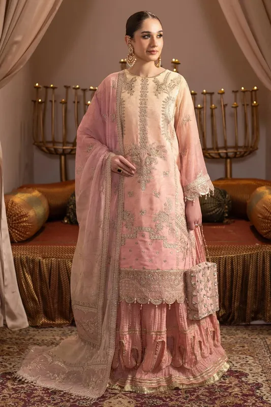 Alizeh Jhalak Formals Light Pink Raw Silk – view 1 – Poshaq