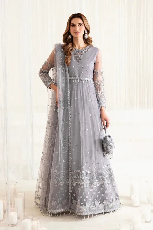Alizeh Reena Wedding Edits Grey Organza – view 1 – Poshaq