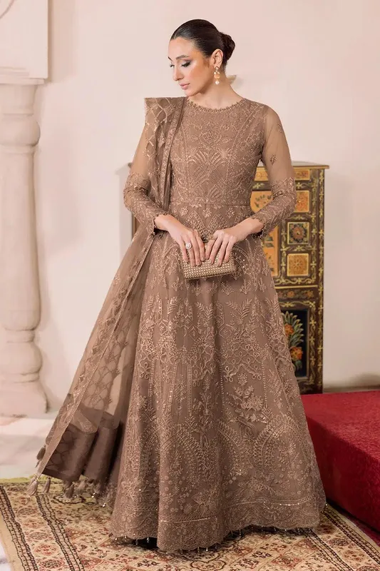 Alizeh Dua Formals 23 Beige Net – view 1 – Poshaq