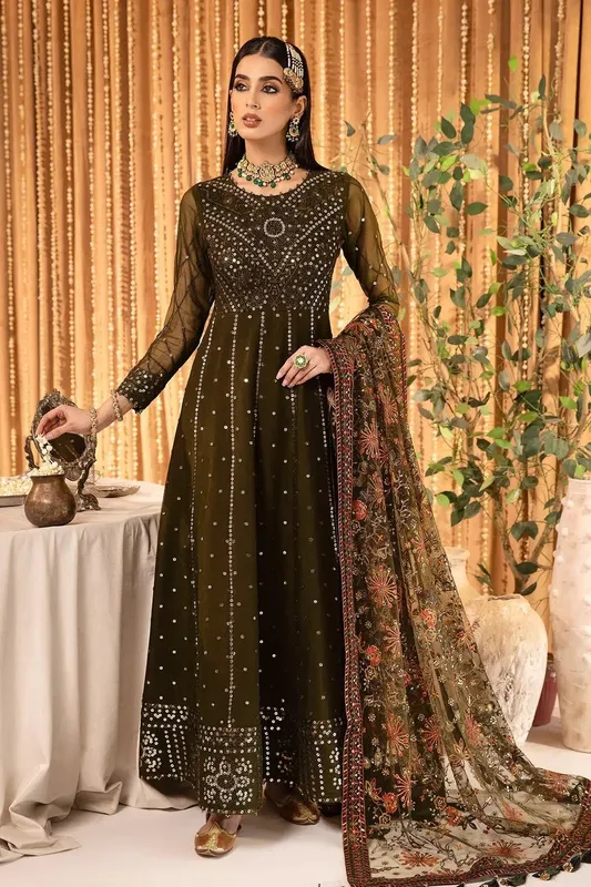 Alizeh Formals Collection Green Chiffon – view 1 – Poshaq