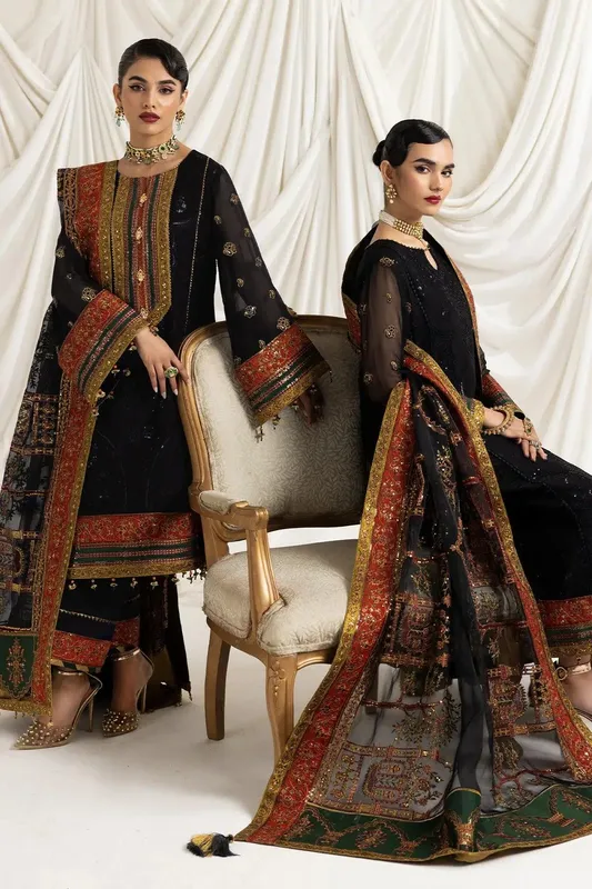 Alizeh Formals Collection Black Organza – view 1 – Poshaq
