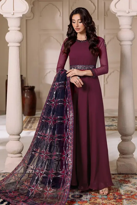 Alizeh Formals Collection Magenta Organza – view 1 – Poshaq
