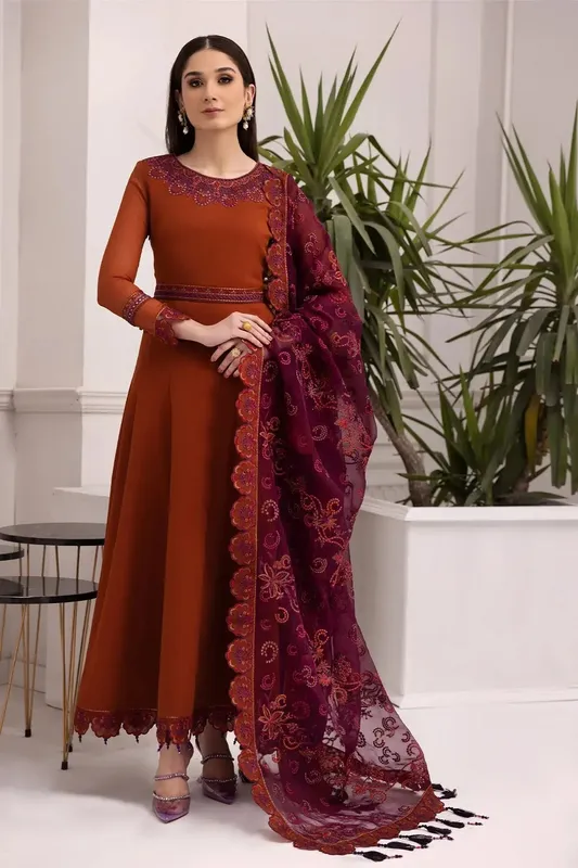 Alizeh Formals Collection Rust Organza – view 1 – Poshaq