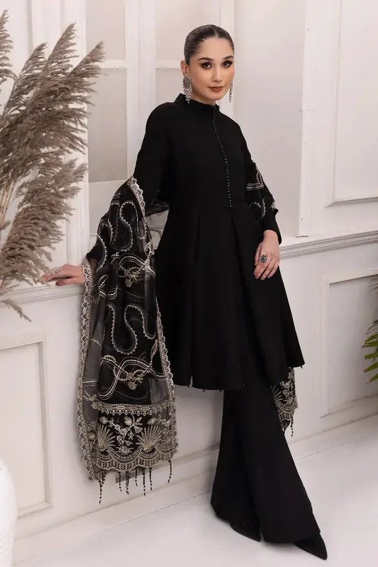 Alizeh Formals Collection Black Organza – view 1 – Poshaq