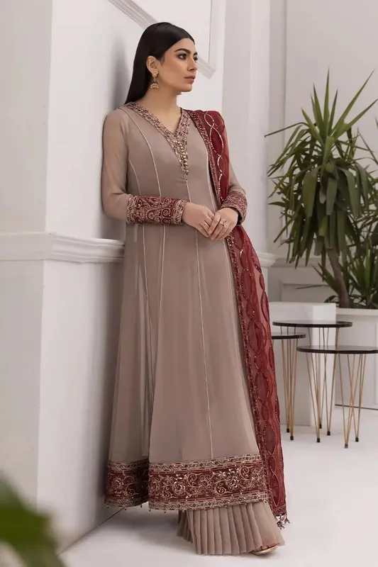 Alizeh Formals Collection Beige Organza – view 1 – Poshaq