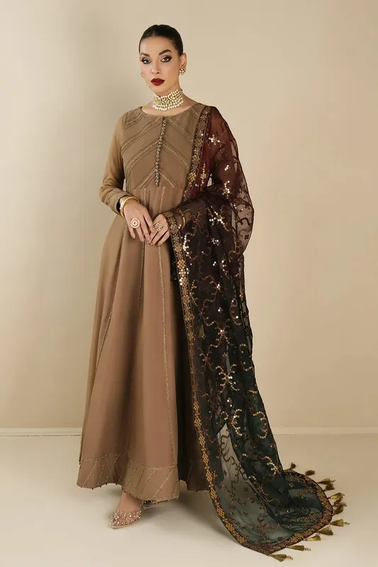 Alizeh Formals Collection Beige Organza – view 1 – Poshaq