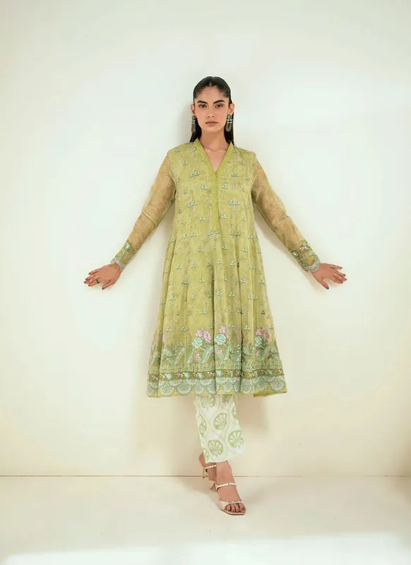 Dhanak Signature Pret Mint Green Net – view 1 – Poshaq
