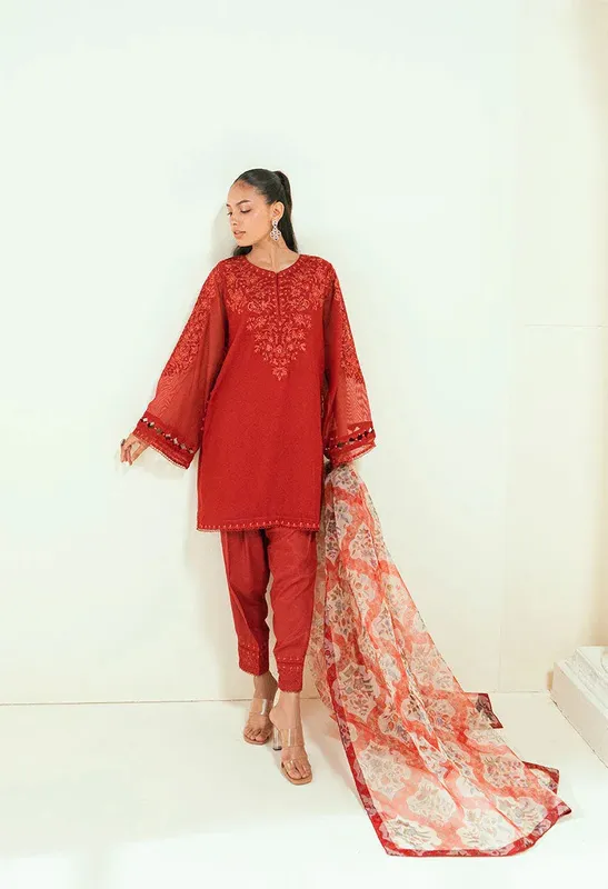 Dhanak Signature Pret Red Net – view 1 – Poshaq
