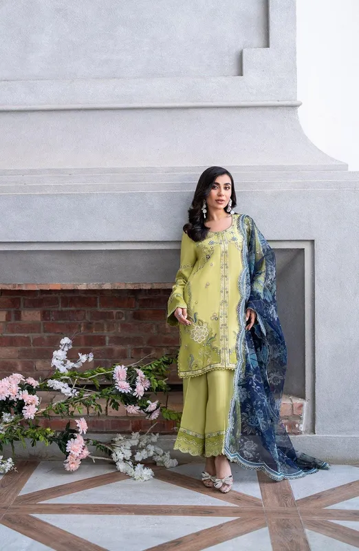 Dhanak SS 25 Luxury Pret Neon Green Cotton Silk – view 1 – Poshaq