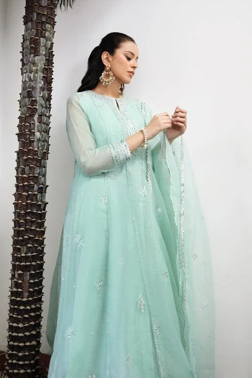 Declare Le Fleur Luxury Pret Silver Raw Silk – view 3 – Poshaq