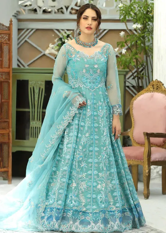Daud Abbas Formals Collection Blue Organza – view 1 – Poshaq