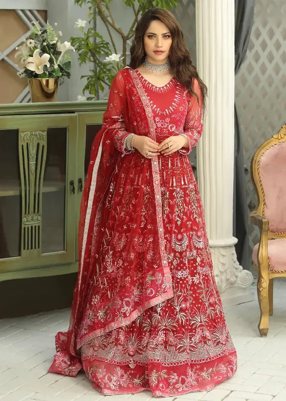 Daud Abbas Formals Collection Silver Organza – view 1 – Poshaq