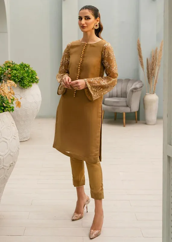 Daud Abbas Formals Collection Brown Organza – view 1 – Poshaq