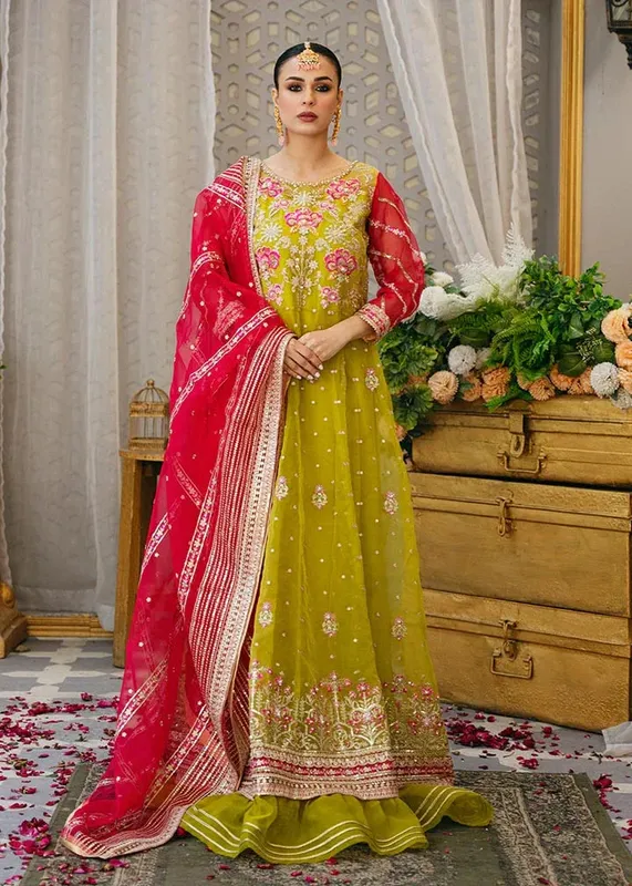 Daud Abbas Formals Collection Mustard Organza – view 1 – Poshaq