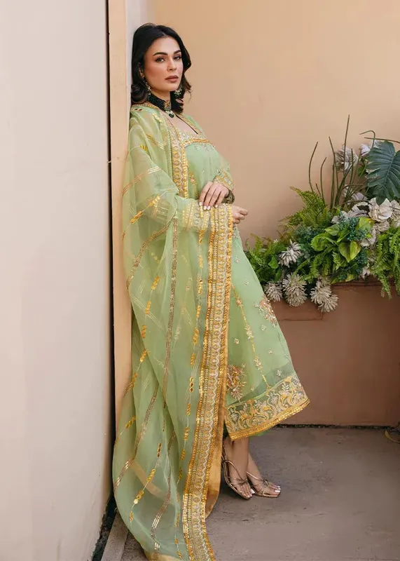 Daud Abbas Formals Collection Green Net – view 1 – Poshaq
