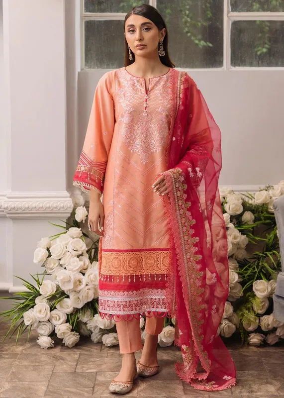 Daud Abbas Formals Collection Peach Organza – view 1 – Poshaq