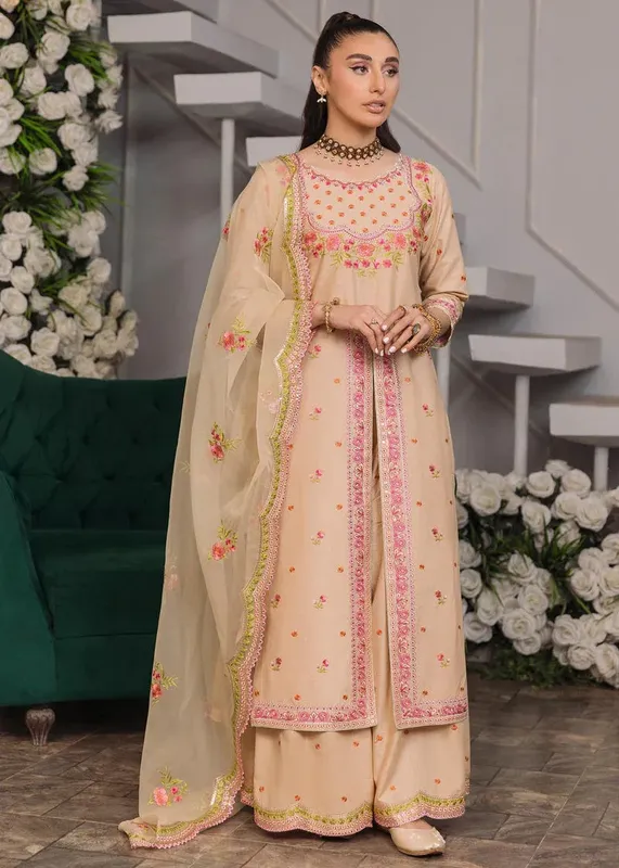 Daud Abbas Formals Collection Beige Organza – view 1 – Poshaq