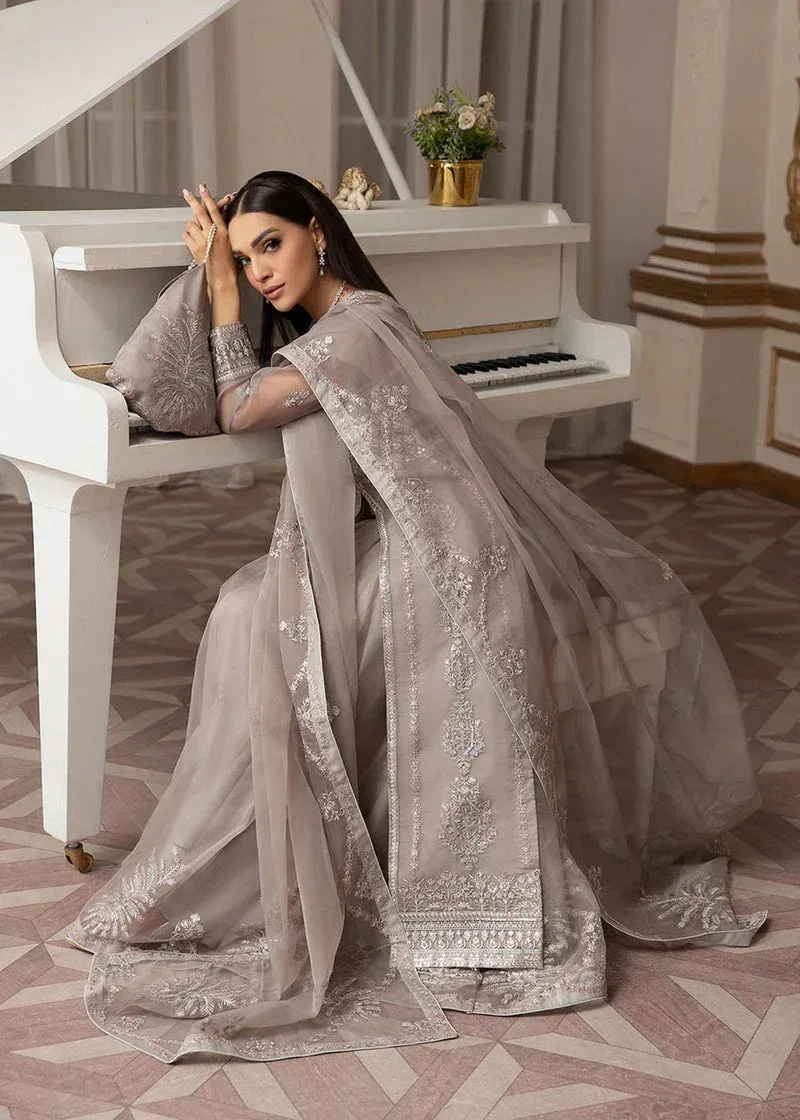 Daud Abbas Formals Collection Silver Organza – view 5 – Poshaq