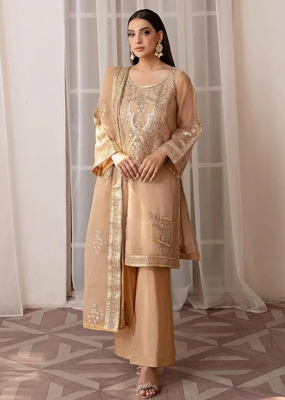 Daud Abbas Formals Collection Beige Organza – view 1 – Poshaq