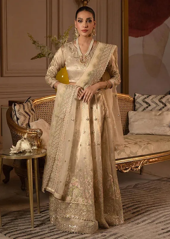 Daud Abbas Formals Collection Beige Organza – view 1 – Poshaq