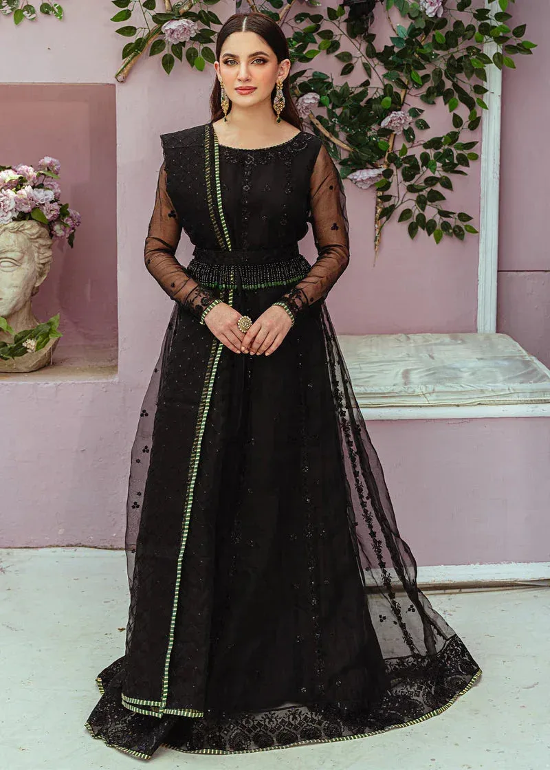 Daud Abbas Formals Collection Black Organza – view 1 – Poshaq