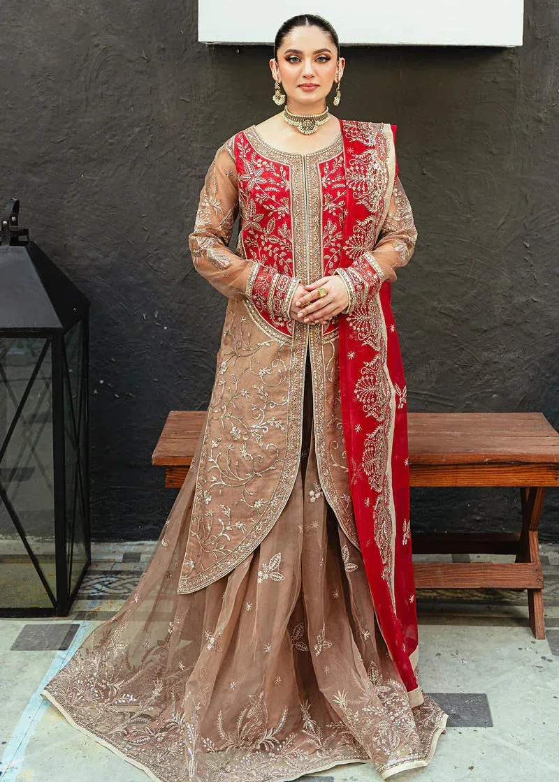 Daud Abbas Formals Collection Beige Organza – view 1 – Poshaq