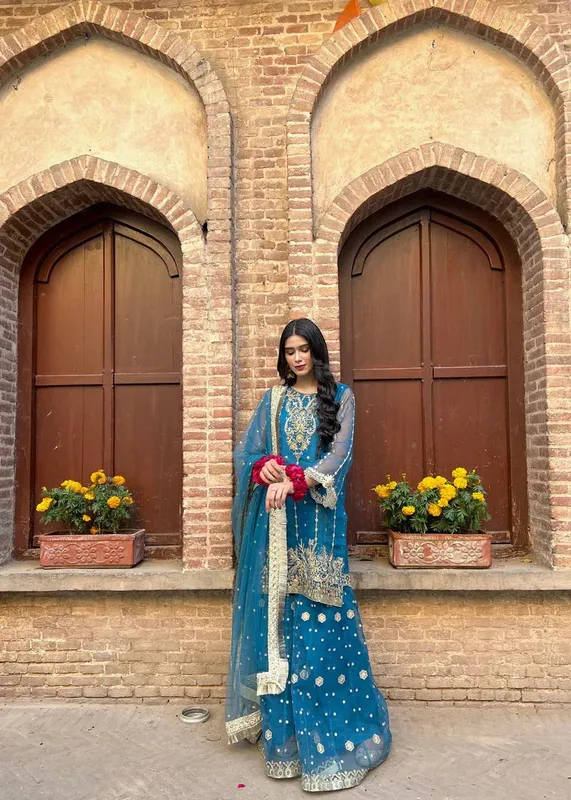 Daud Abbas Formals Collection Blue Organza – view 1 – Poshaq