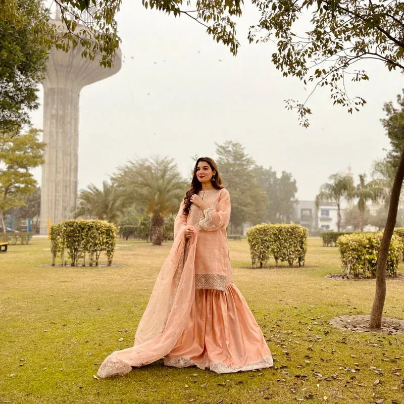 Daud Abbas Formals Collection Peach Organza – view 1 – Poshaq