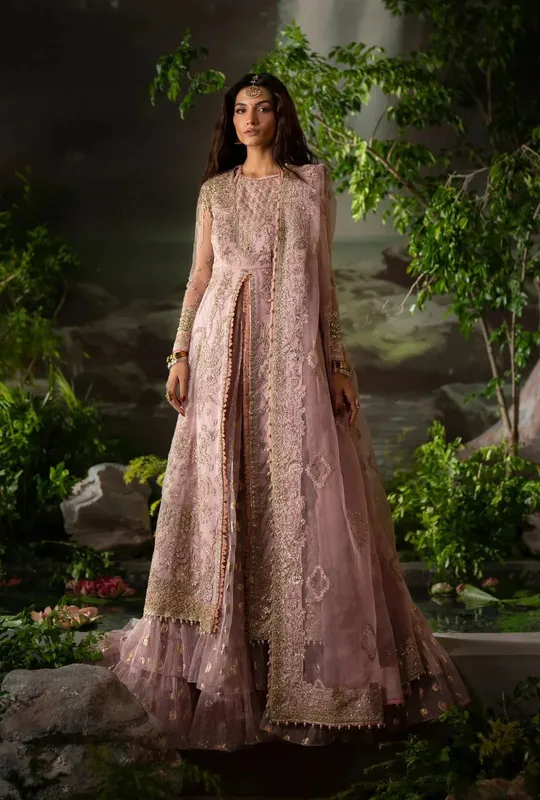 AJR Couture Dastan e Ishq Blush Pink Organza – view 1 – Poshaq