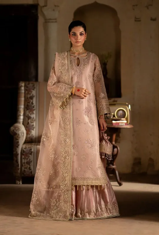 AJR Couture Dastan e Ishq Blush Pink Organza – view 1 – Poshaq