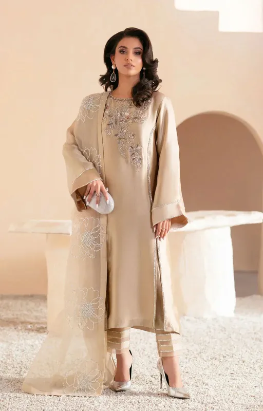 AJR Couture Symphony Luxe Festive 25 Beige Organza – view 1 – Poshaq