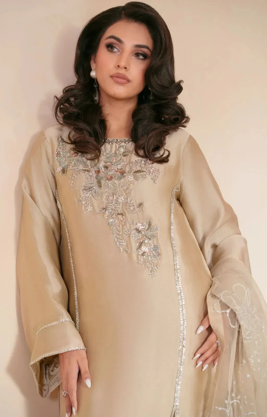 AJR Couture Symphony Luxe Festive 25 Beige Organza – view 4 – Poshaq