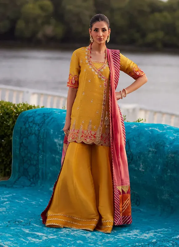 Farah Talib Aziz Mayna Festive Luxe Pret Saffron Organza – view 1 – Poshaq