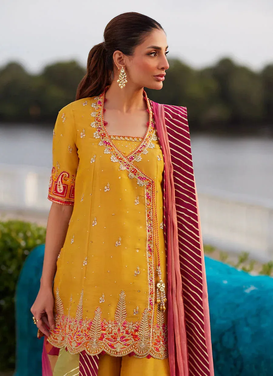 Farah Talib Aziz Mayna Festive Luxe Pret Saffron Organza – view 3 – Poshaq