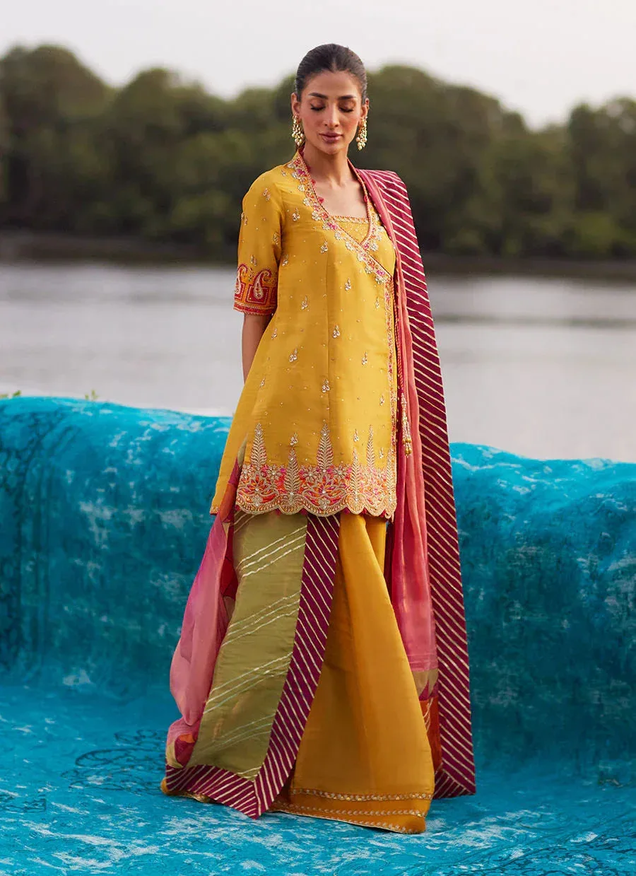 Farah Talib Aziz Mayna Festive Luxe Pret Saffron Organza – view 5 – Poshaq