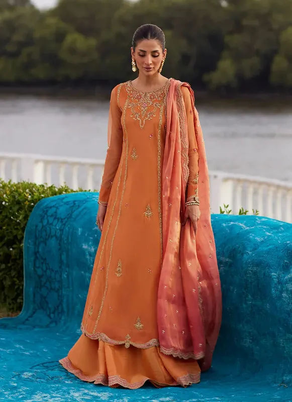 Farah Talib Aziz Mayna Festive Luxe Pret Orange Organza – view 1 – Poshaq