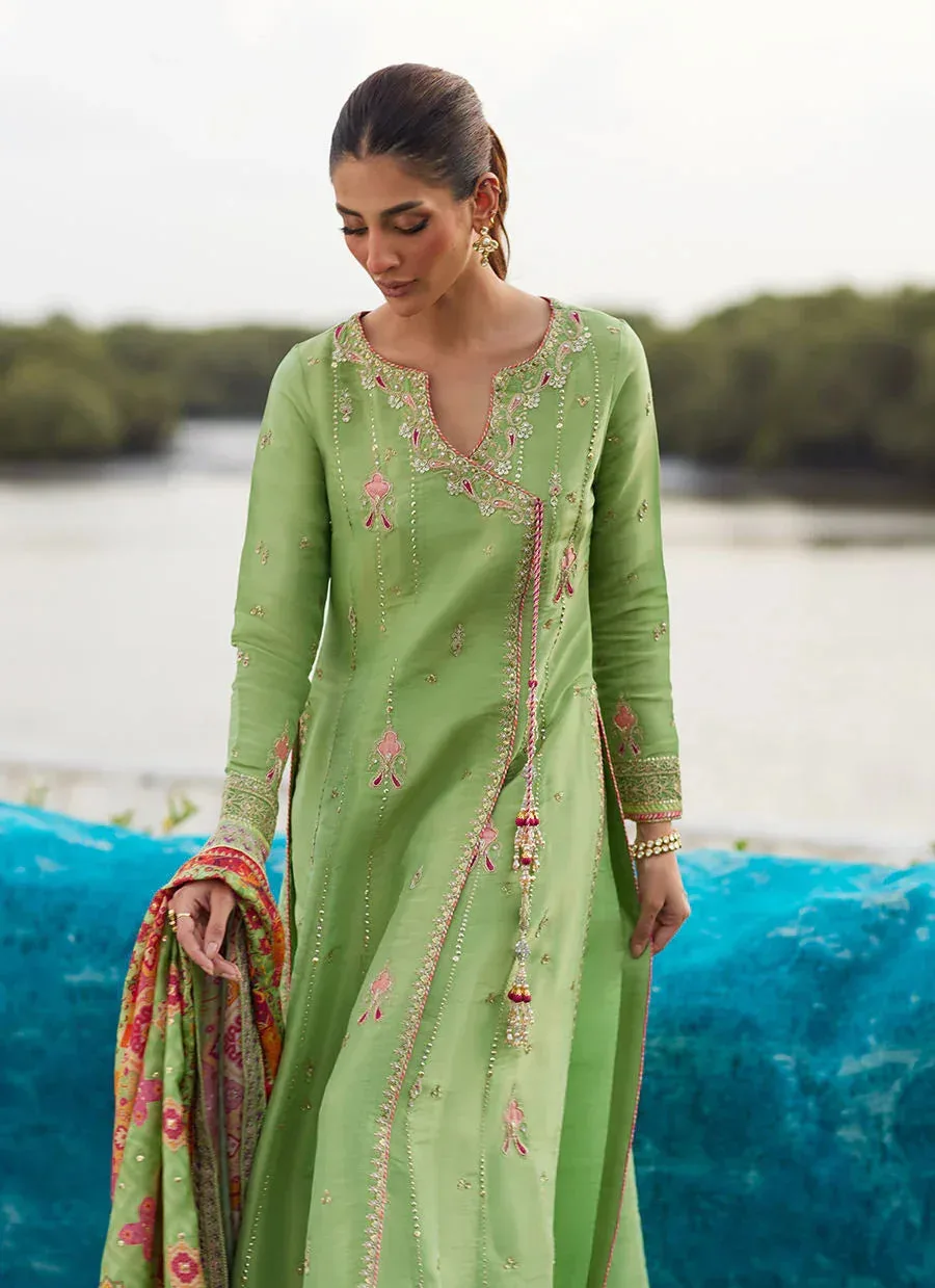 Farah Talib Aziz Mayna Festive Luxe Pret Pistachio Silk – view 3 – Poshaq