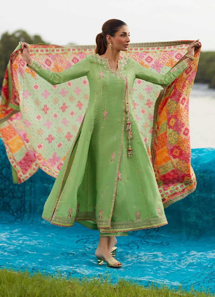 Farah Talib Aziz Mayna Festive Luxe Pret Pistachio Silk – view 4 – Poshaq