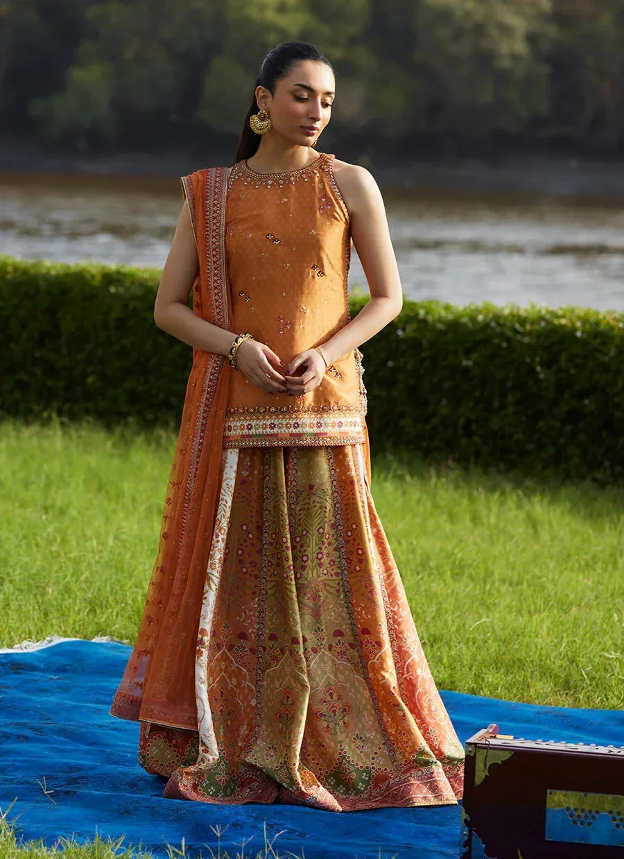 Burnt Orange raw silk short shirt with gold trim and organza dupatta – view 5 – Poshaq