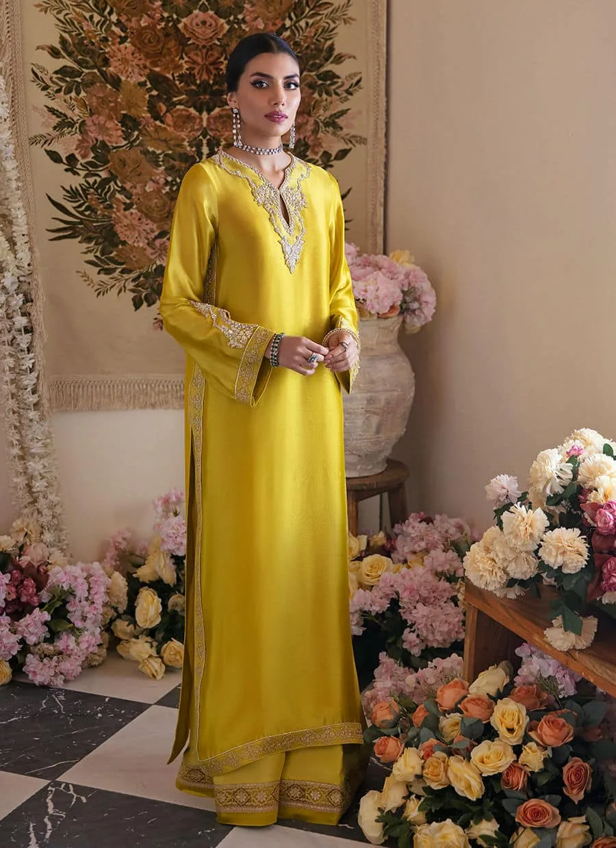 Farah Talib Aziz Mayna Festive Luxe Silk – view 1 – Poshaq