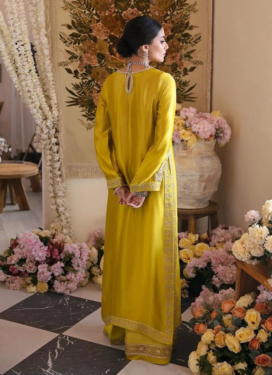 Farah Talib Aziz Mayna Festive Luxe Silk – view 2 – Poshaq
