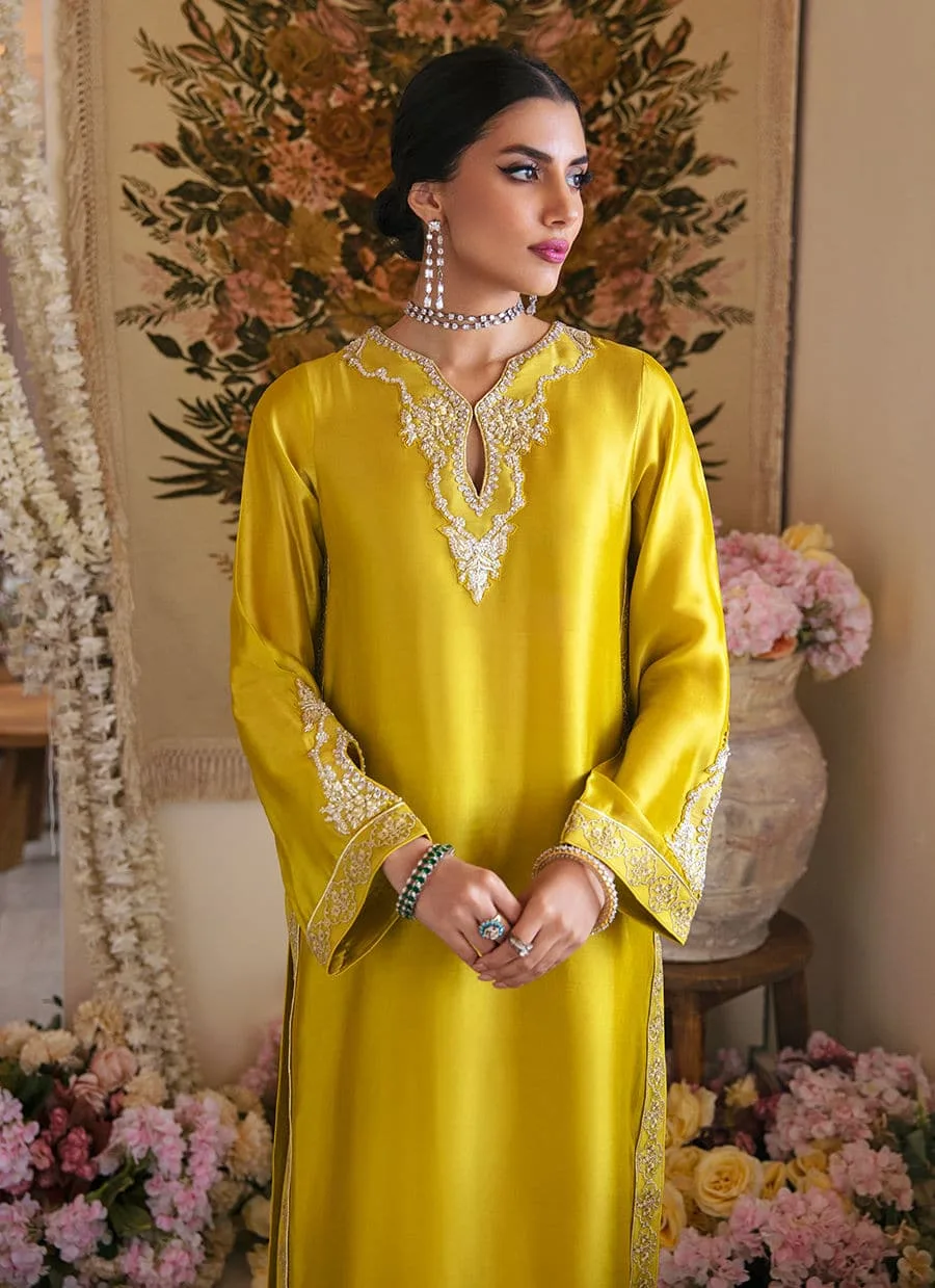 Farah Talib Aziz Mayna Festive Luxe Silk – view 3 – Poshaq